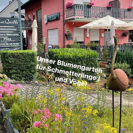 Pension Zur Quelle Deudesfeld Экстерьер фото