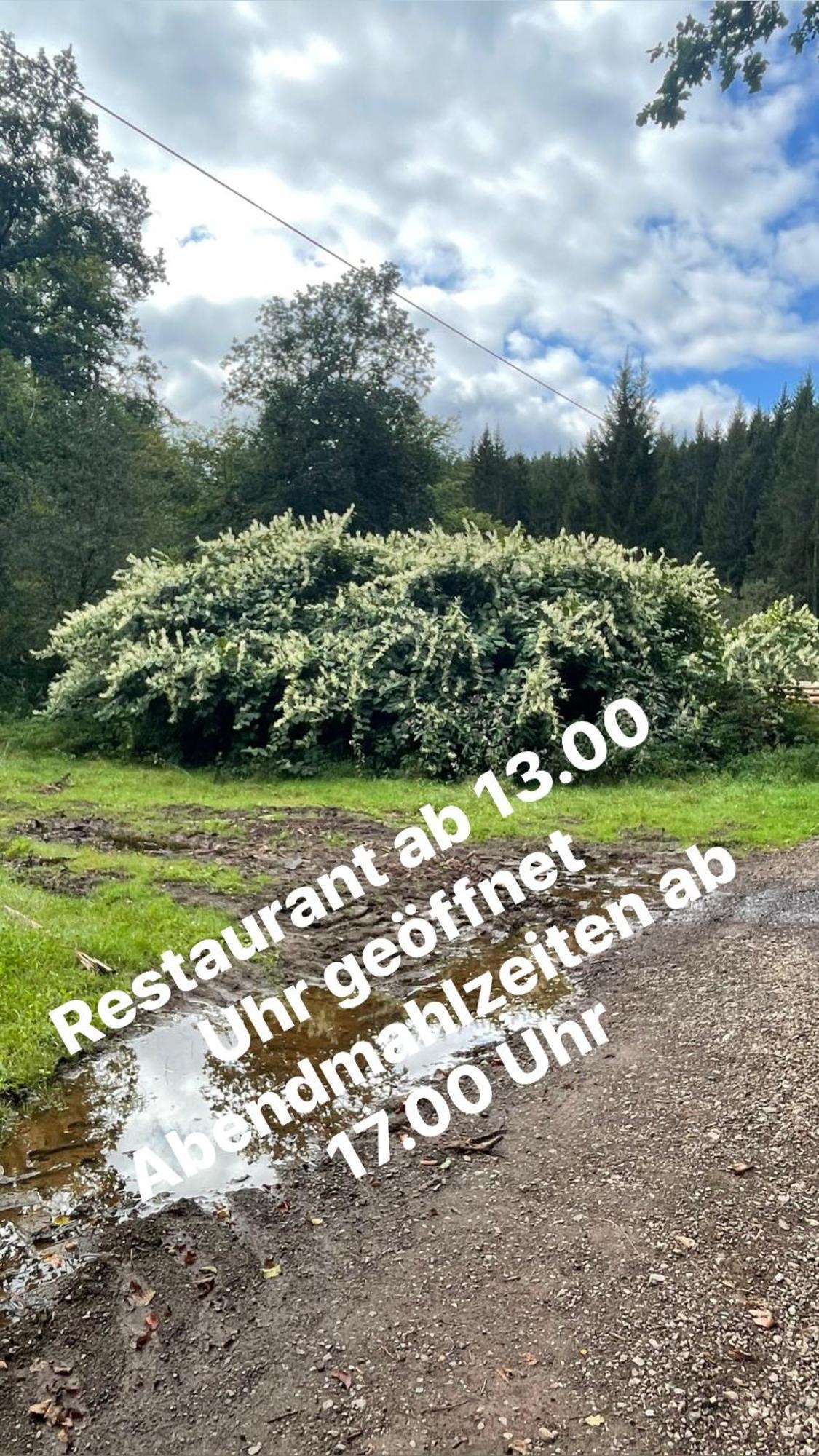 Pension Zur Quelle Deudesfeld Экстерьер фото