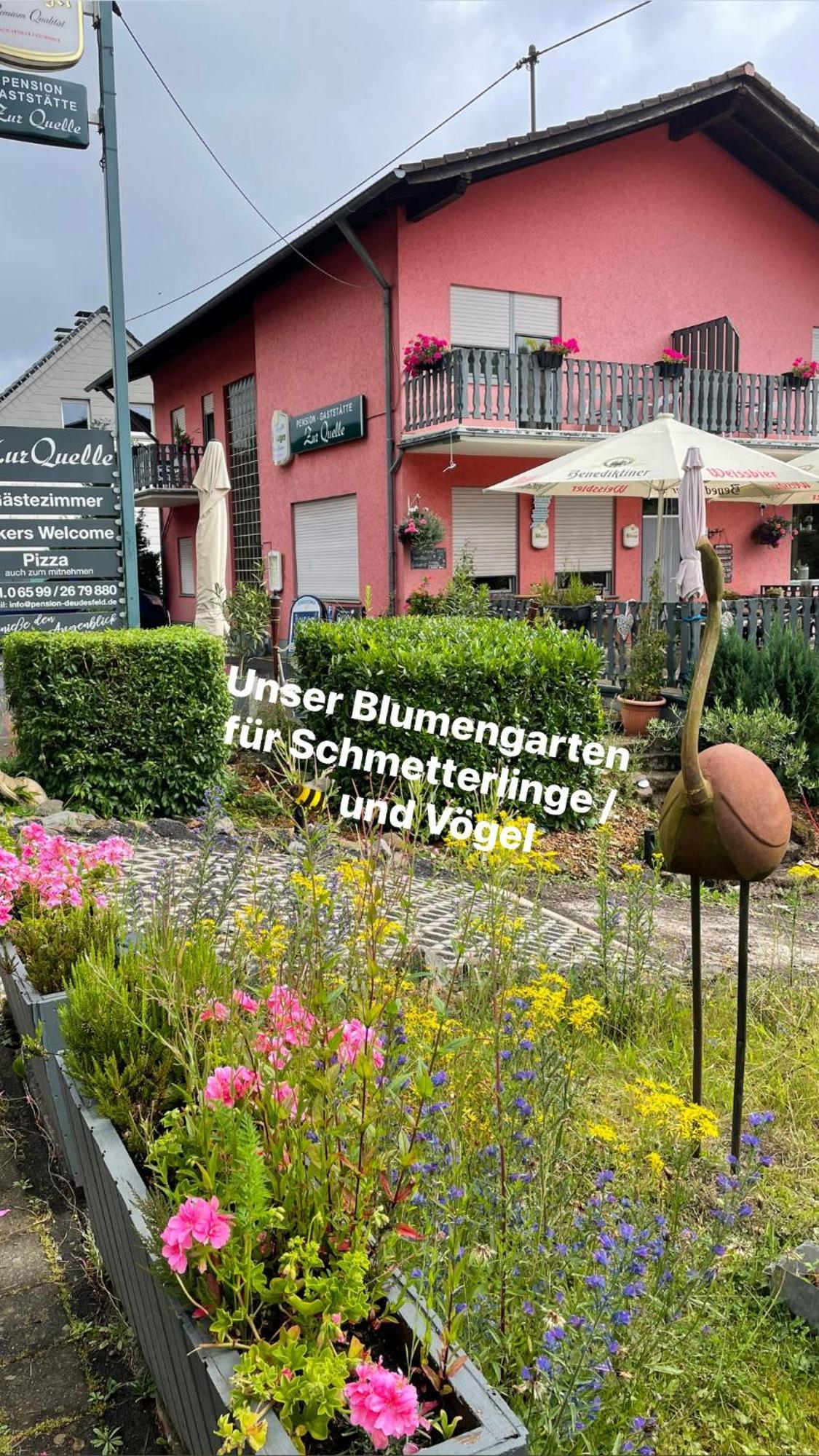 Pension Zur Quelle Deudesfeld Экстерьер фото