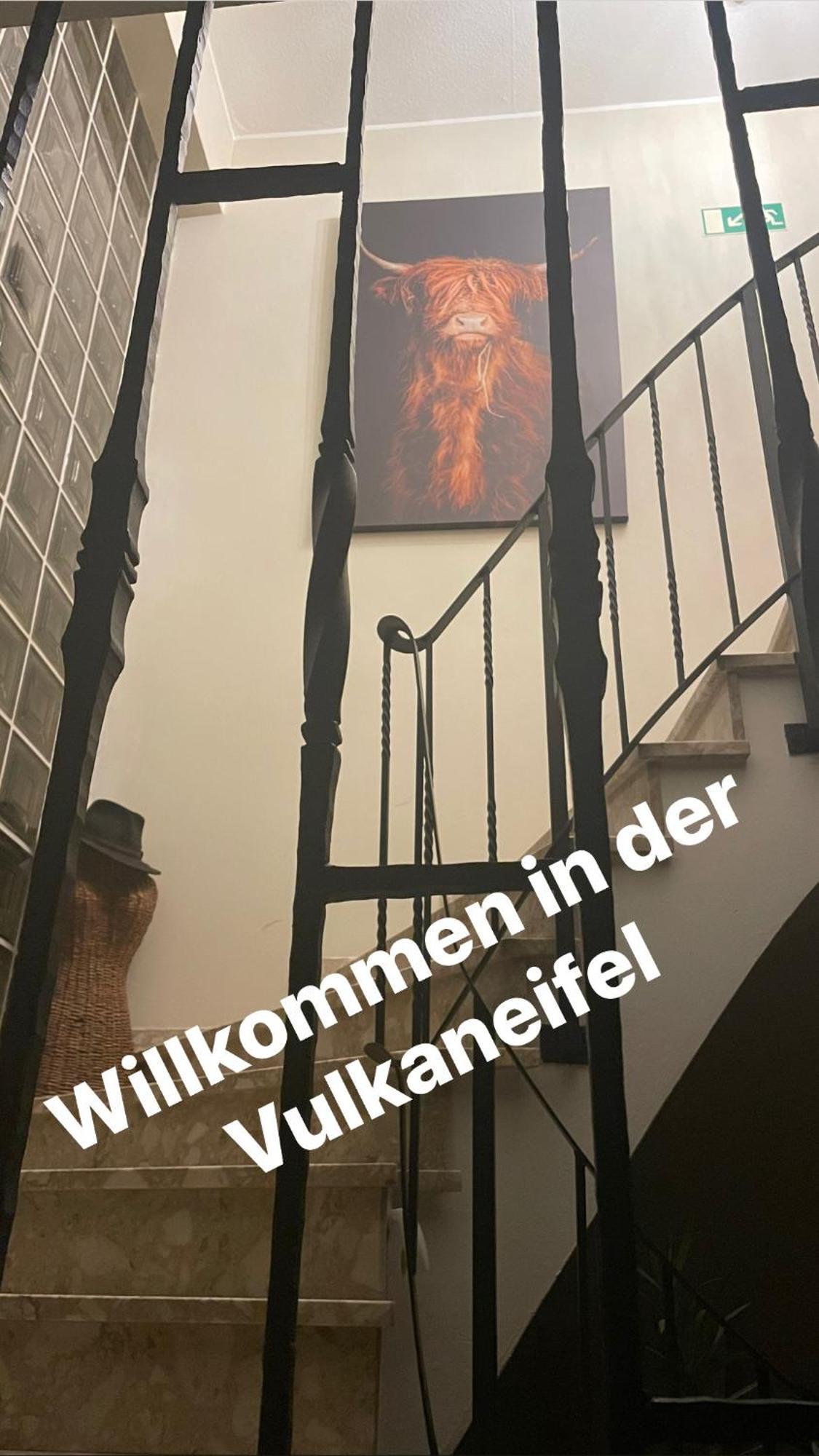 Pension Zur Quelle Deudesfeld Экстерьер фото